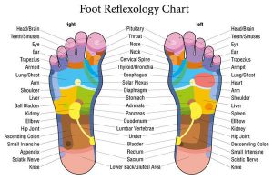 What are the benefits of a foot massage foot reflexology chart